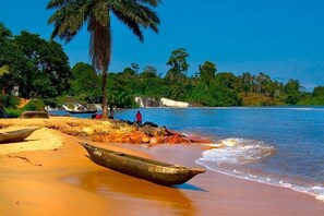 Une plage avec des bateaux, un palmier et une cascade en arrière-plan.