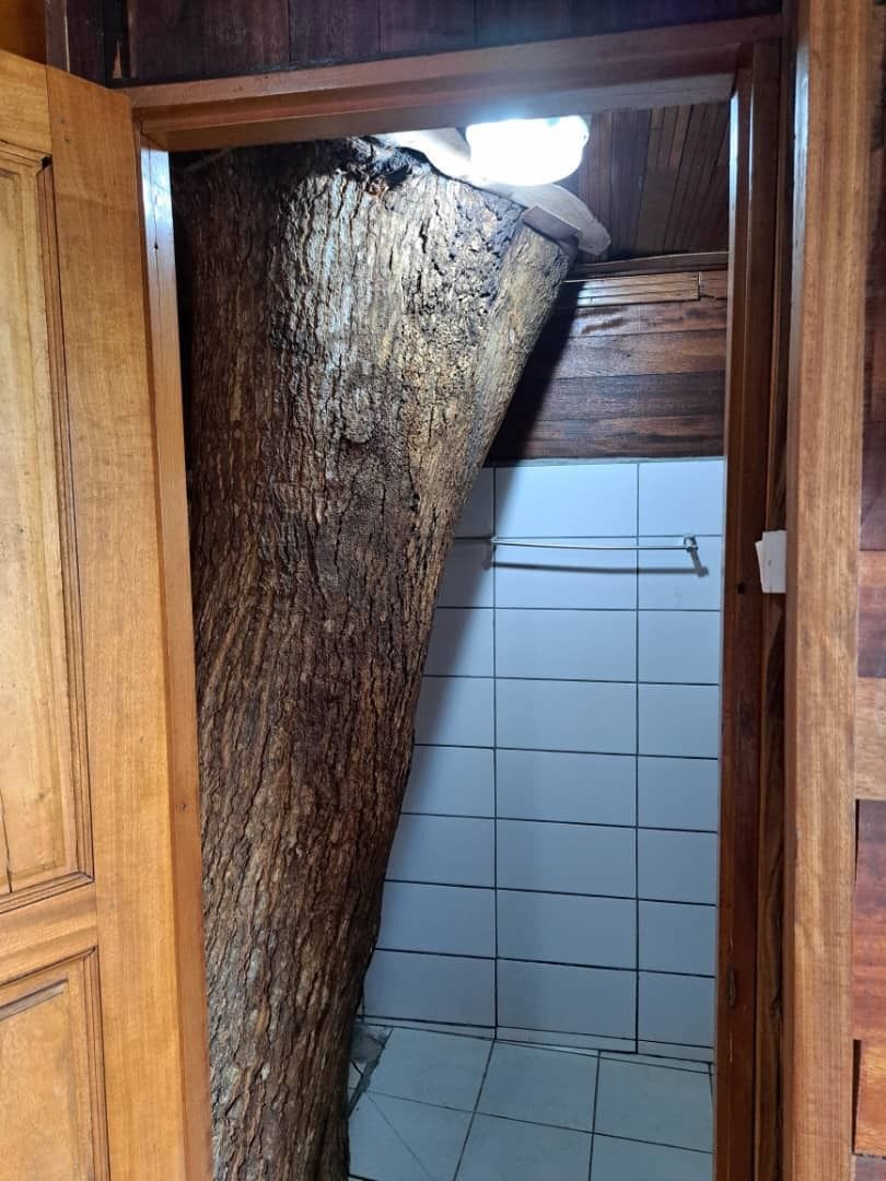 Eine Holztür führt zu einem Badezimmer mit gefliesten Wänden und einer Holzzahl.