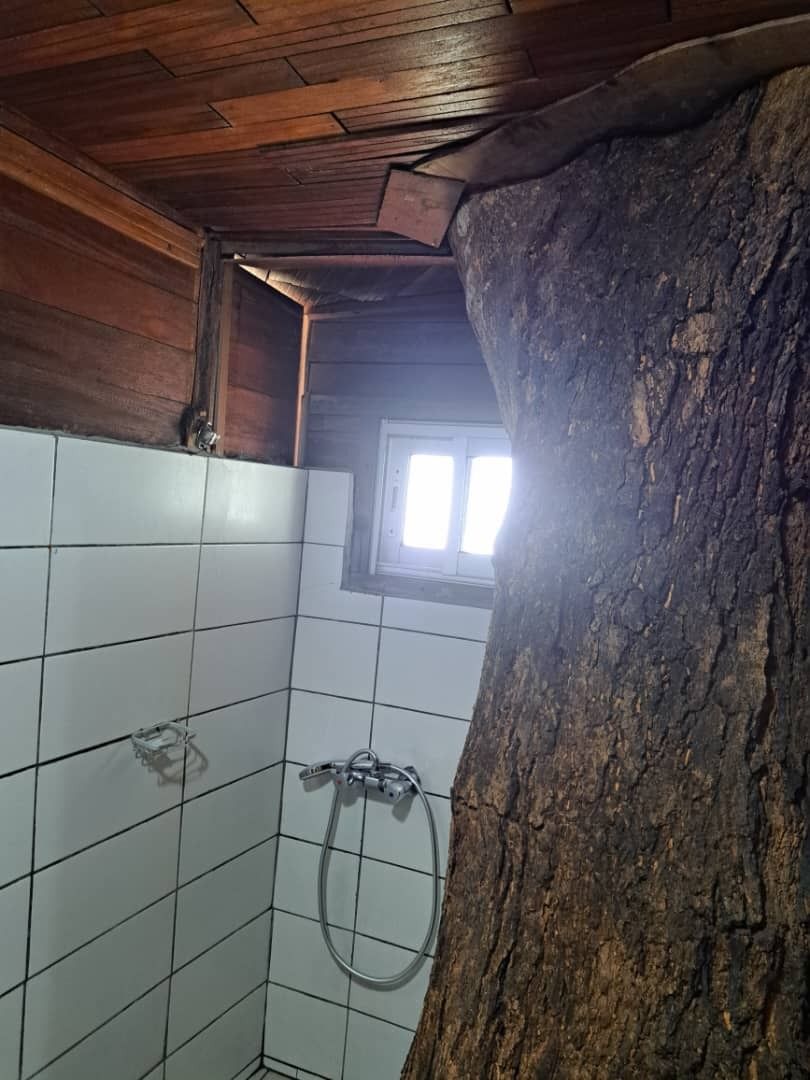 Un baño pequeño y rústico con vigas de madera en el techo, paredes de azulejos blancos y una zona de ducha.