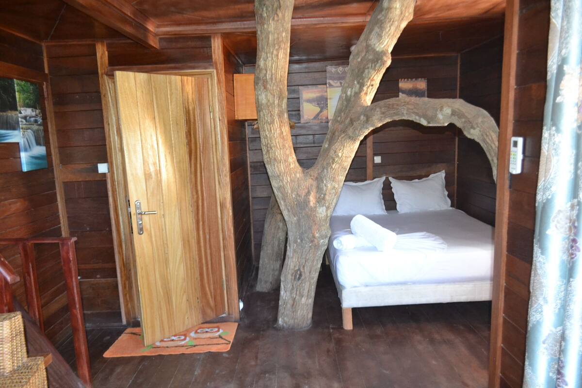 Une pièce dans une cabane en bois, avec un lit placé sous un arbre, une porte en bois et une petite table.