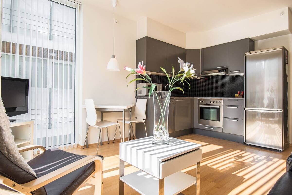 Apartment, 1 Bedroom (Nedre Holmega 9B/C/D) | Living area | Flat-screen TV