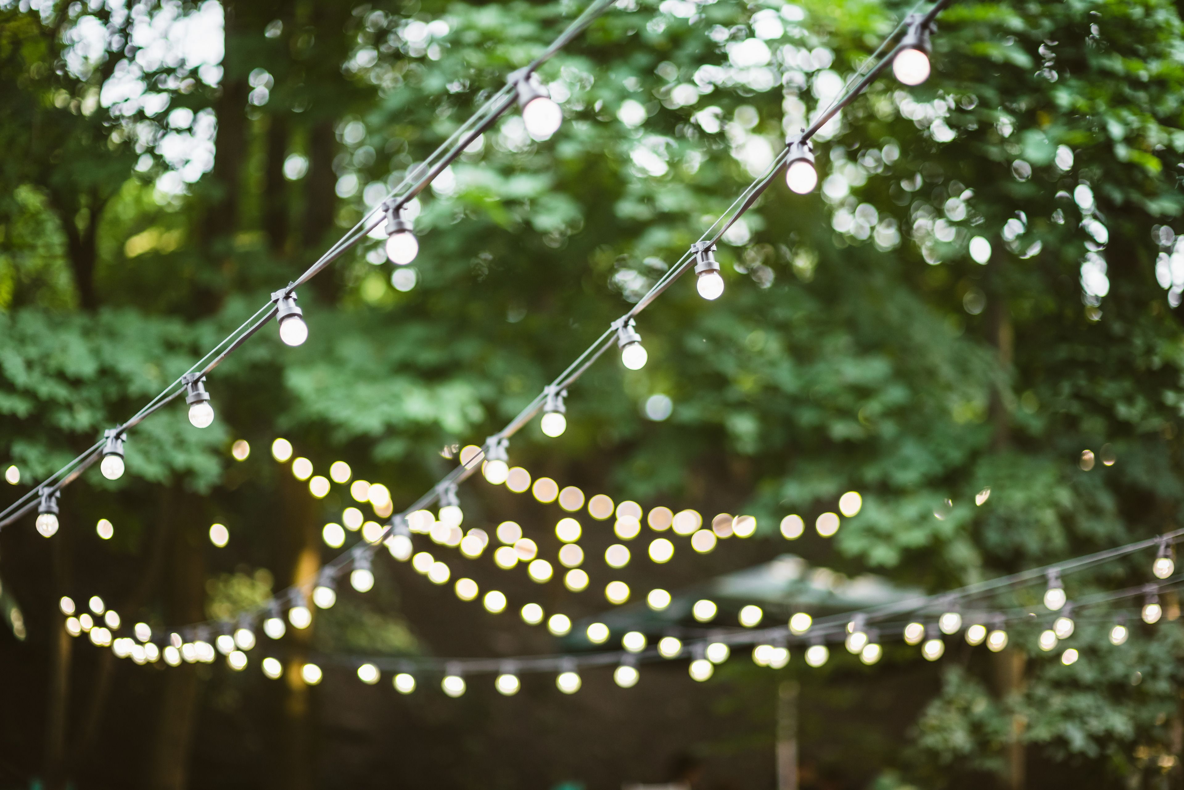 Photo - Downtown Forest Hostel & Camping