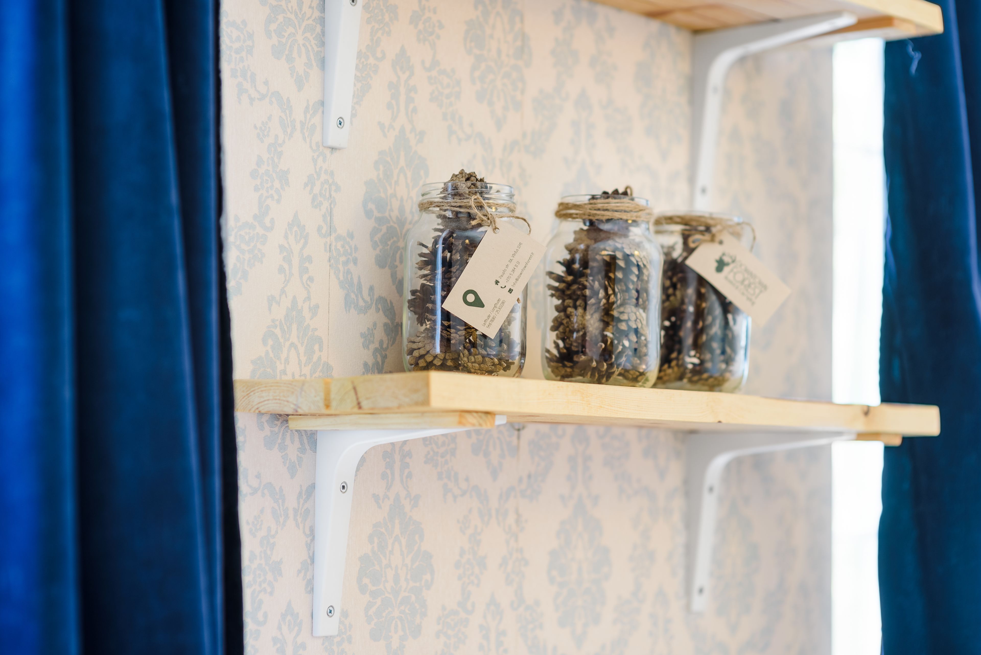 Photo - Downtown Forest Hostel & Camping