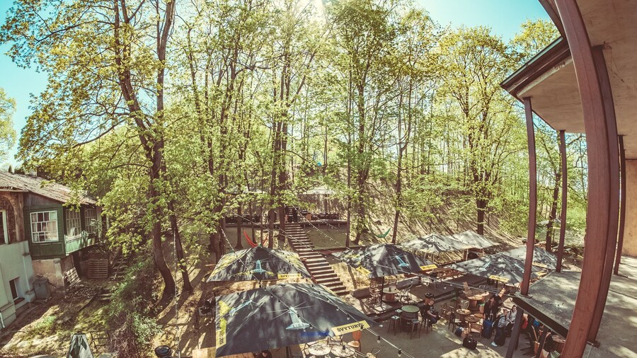 Downtown Forest Hostel & Camping