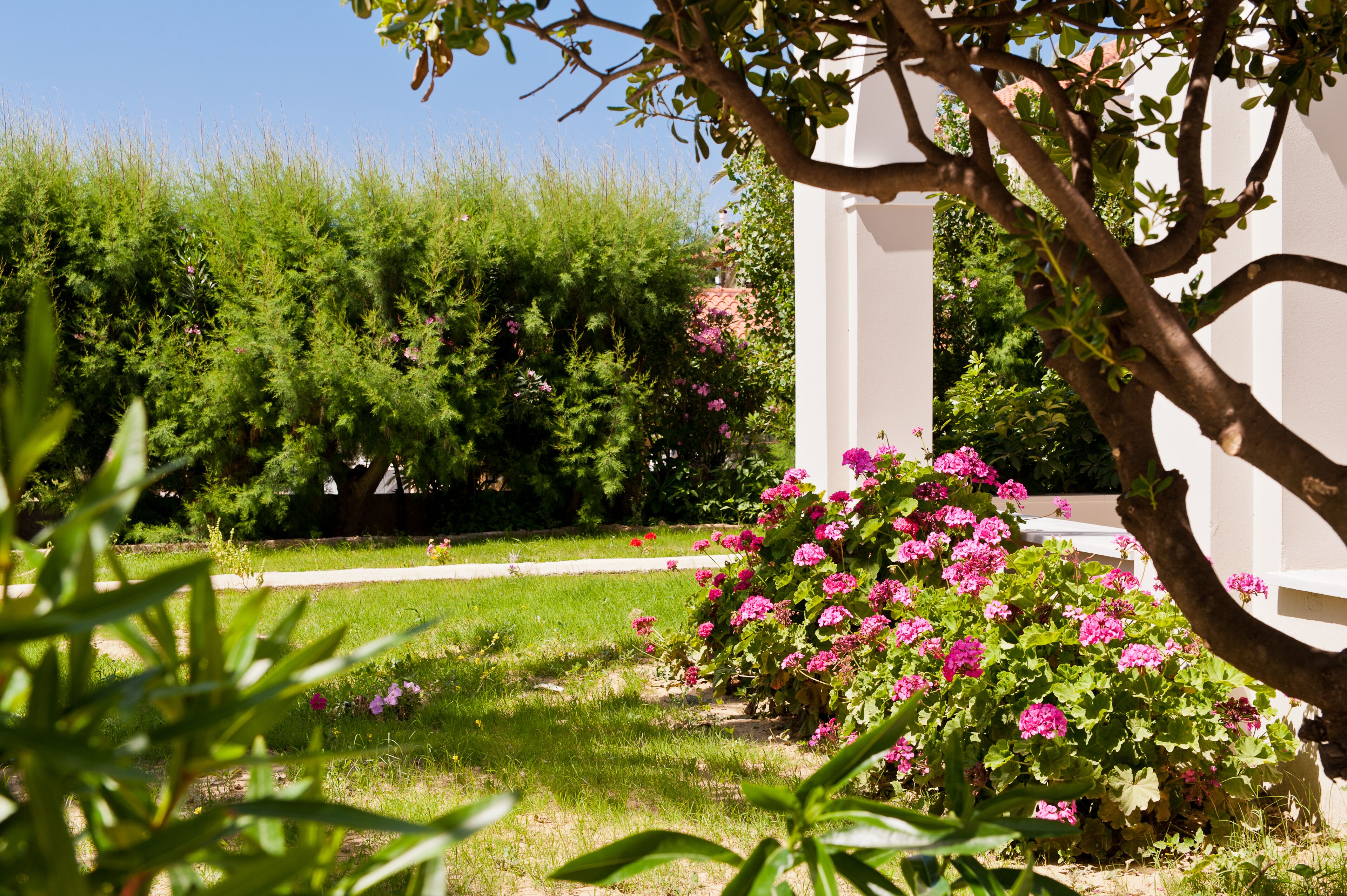 Foto - Klelia Beach Hotel by Zante Plaza