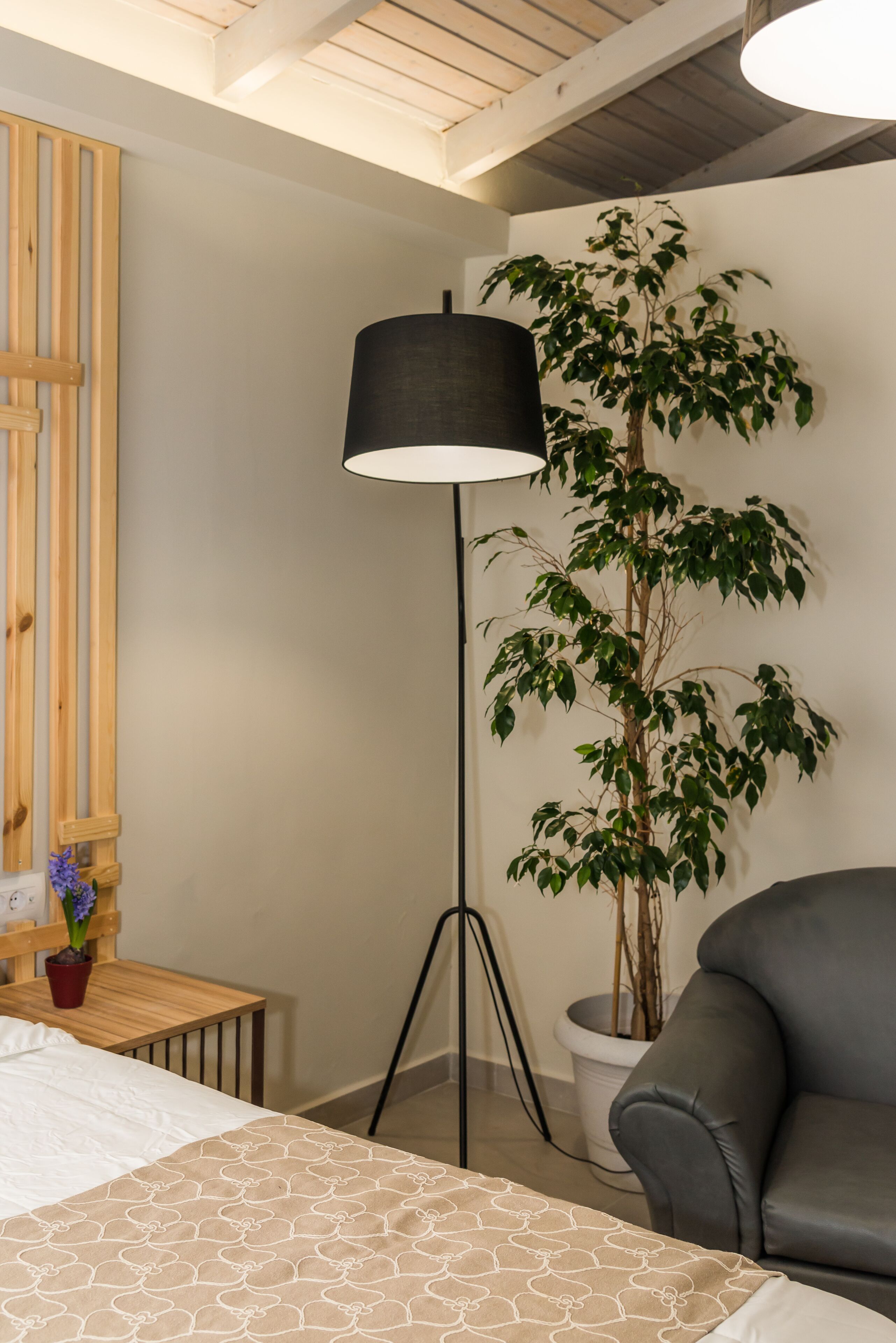 Una habitación con una cama, una lámpara de pie, una planta en maceta, una mesa de madera y un sillón de cuero.