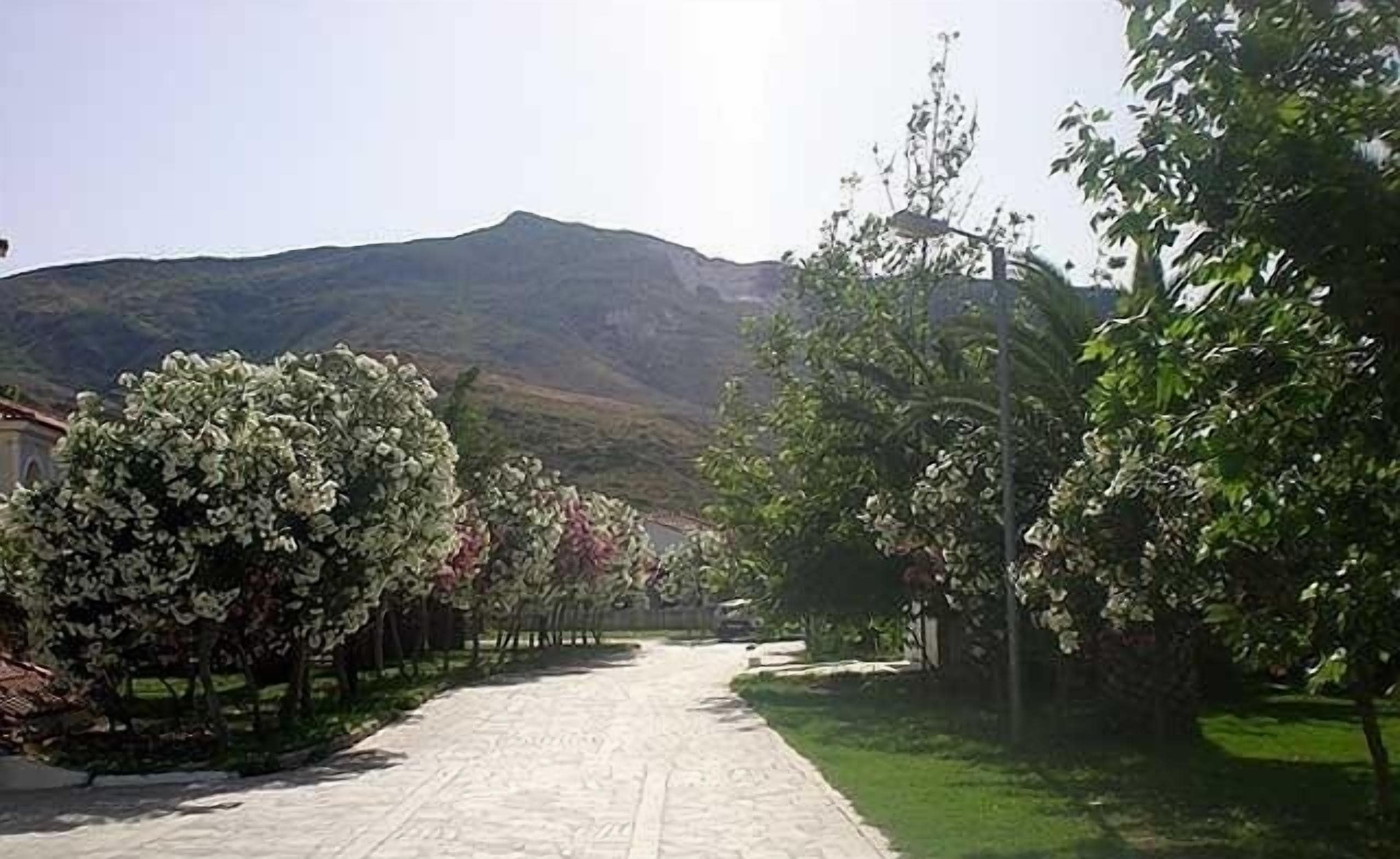 Foto - Klelia Beach Hotel by Zante Plaza