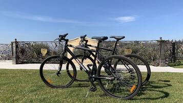 Two bicycles parked on a grassy area with a decorative fence and a clear blue sky in the background.