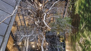 A modern atrium with a large tree sculpture, seating areas, and a green wall with text. - Hotel Duo (Paris)