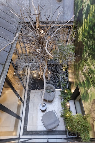 Terrace/patio. Hotel Duo