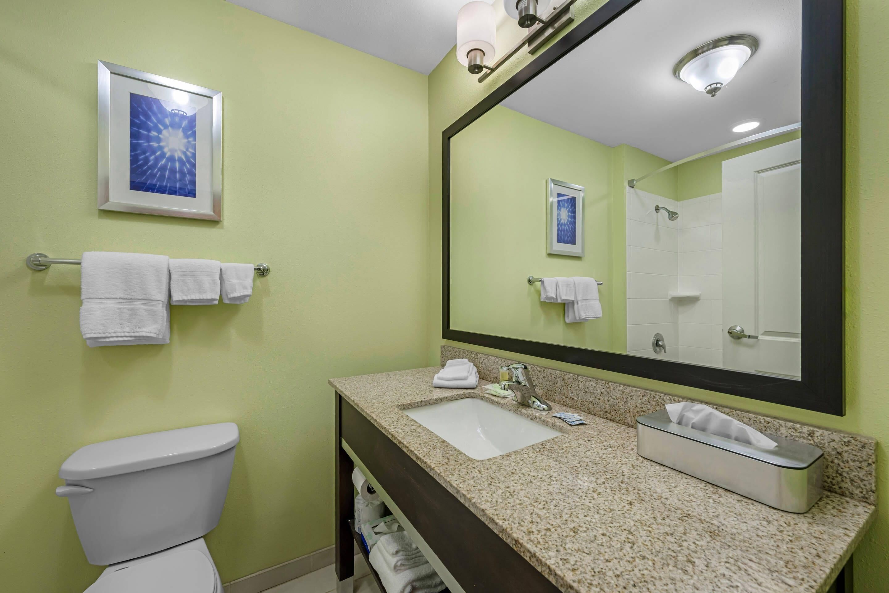 Un baño con inodoro, lavamanos y espejo.