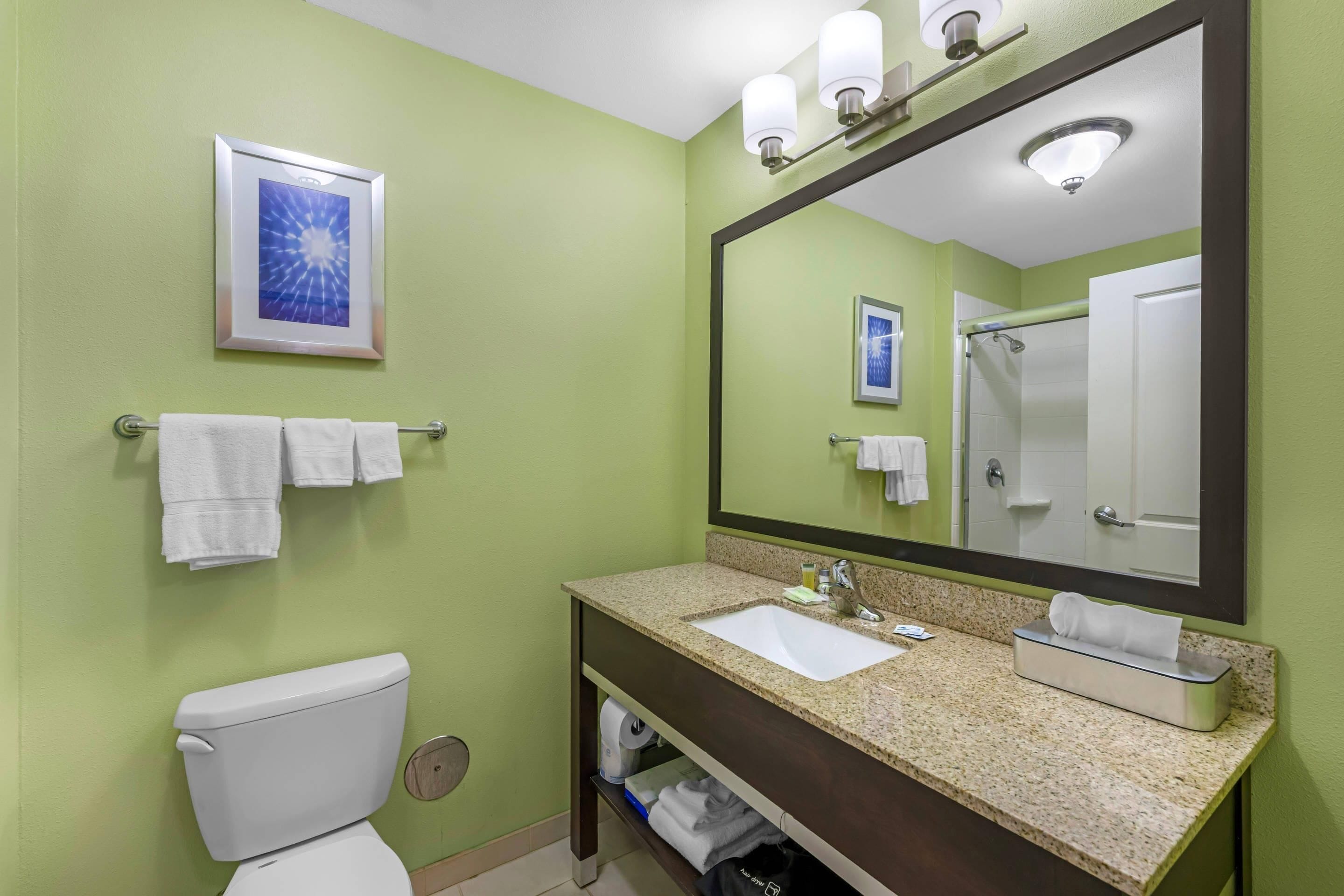 A bathroom with a toilet, sink, and mirror.
