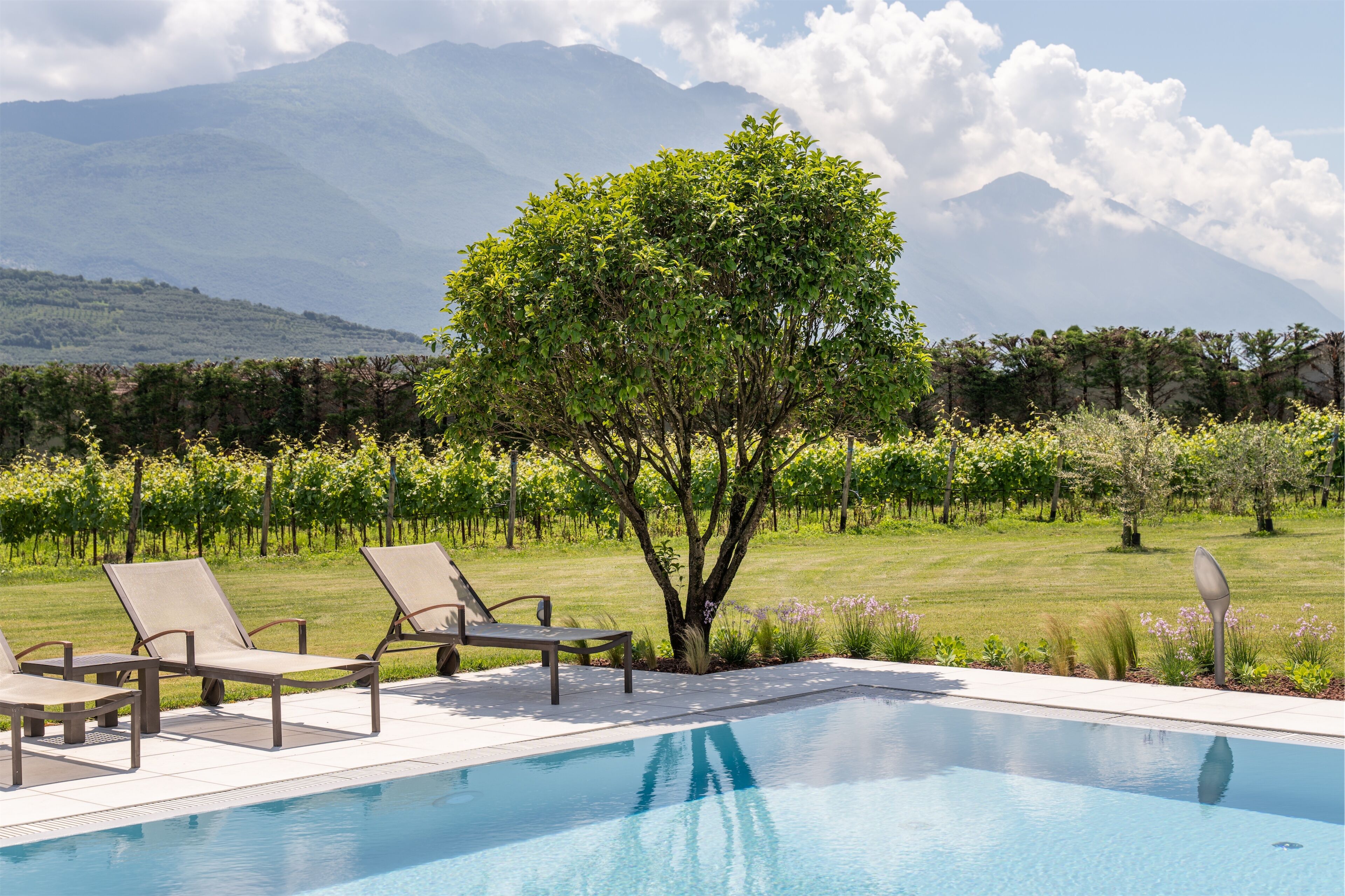 A pool area with lounge chairs and a tree, surrounded by a vineyard and mountains in the background.