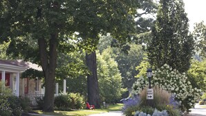 Une rue résidentielle bordée d’arbres, avec une maison, de grands arbres, une chaise rouge et un panneau indiquant « SUIVEZ LA DROITE ».