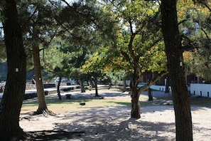 Property grounds