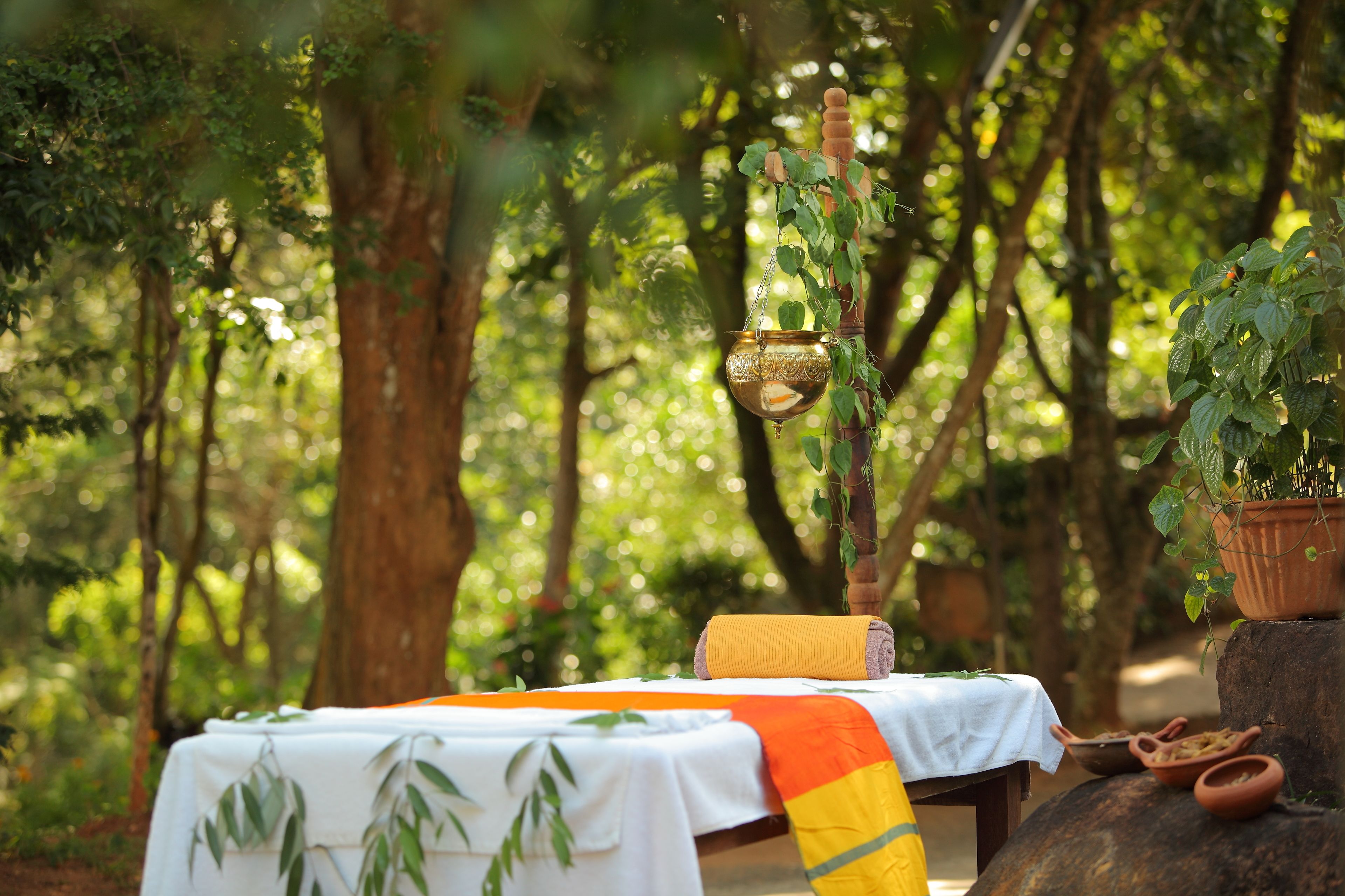 Körperbehandlungen, Aromatherapie, Ganzkörperwickelbehandlung