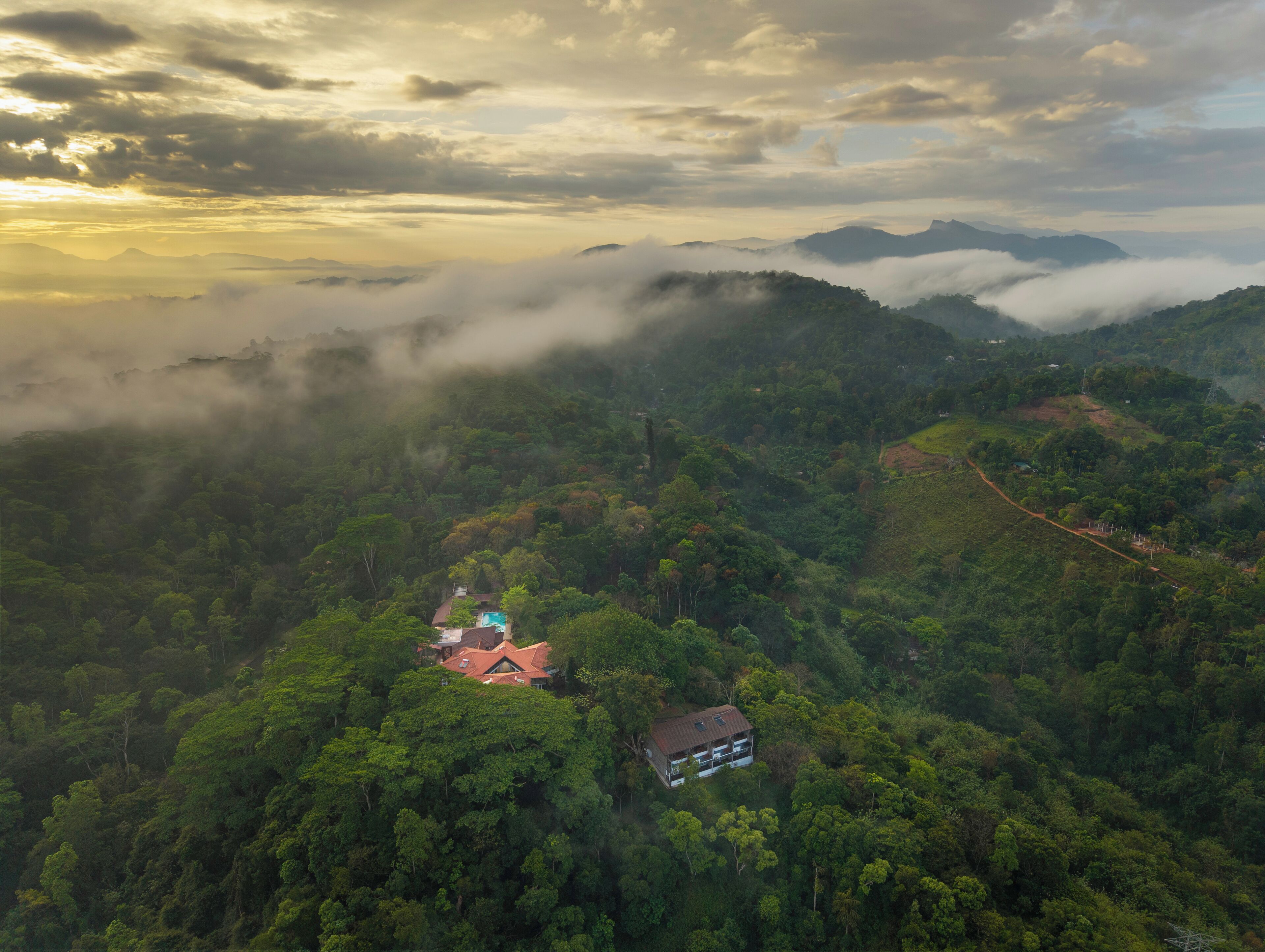 Una casa rodeada de un bosque frondoso, con vistas a montañas cubiertas de niebla al fondo.