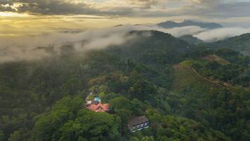 Una casa rodeada de un bosque frondoso, con vistas a montañas cubiertas de niebla al fondo.