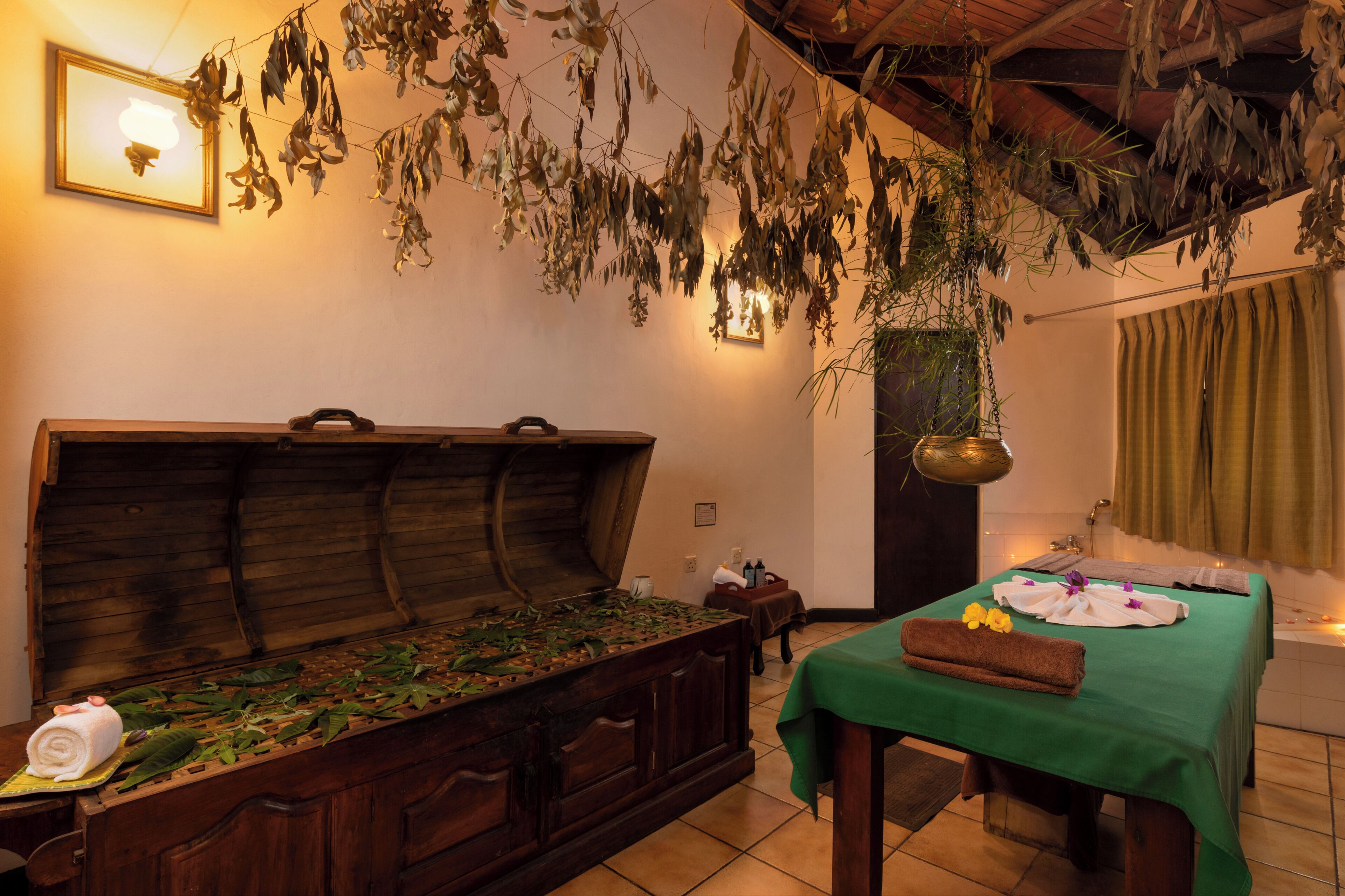 Body treatments, aromatherapy, body wraps, body scrubs, facials