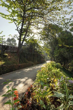 Garden - Tree of Life Nature Resort (Harispattuwa)