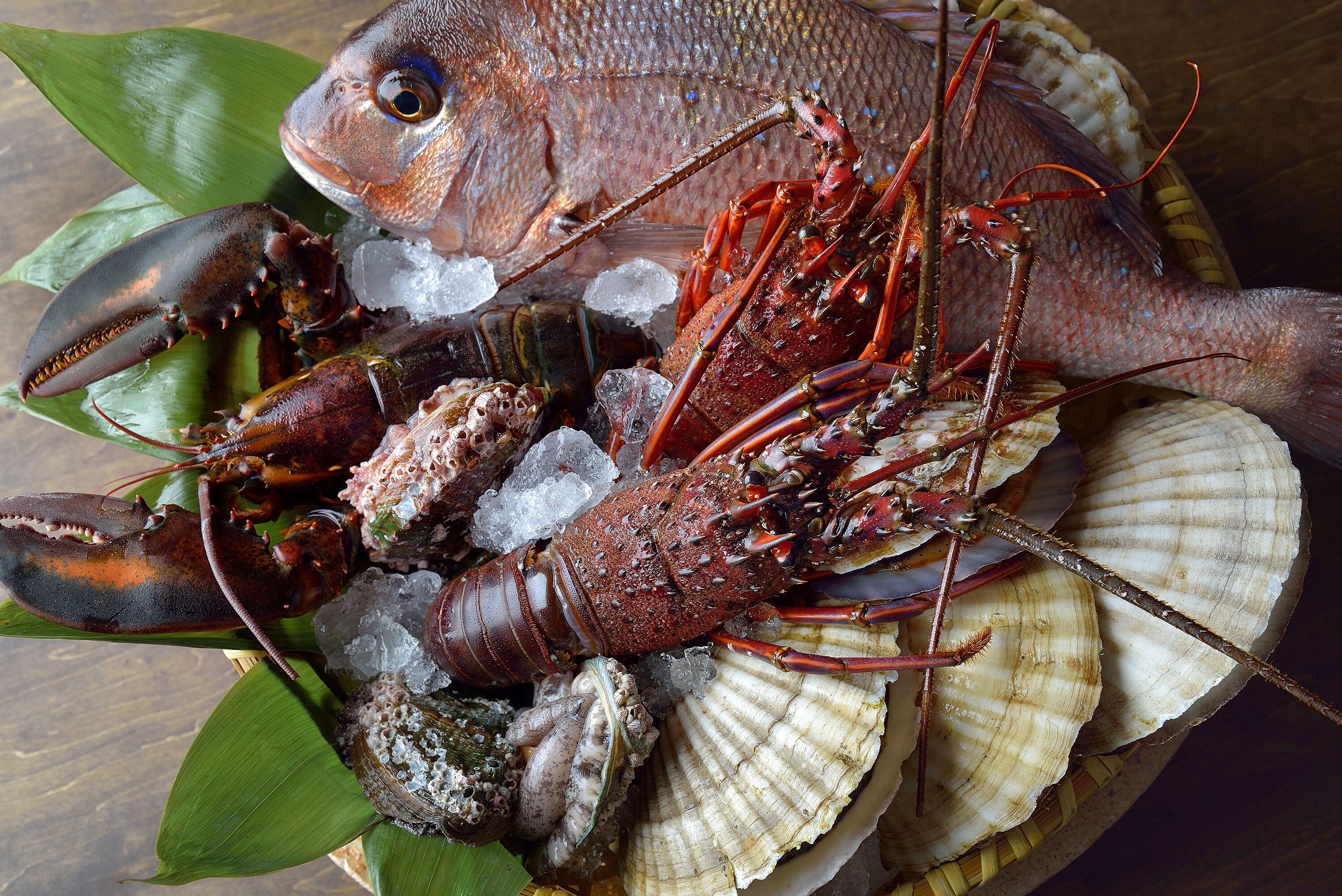 Photo - Shinjuku Washington Hotel Annex