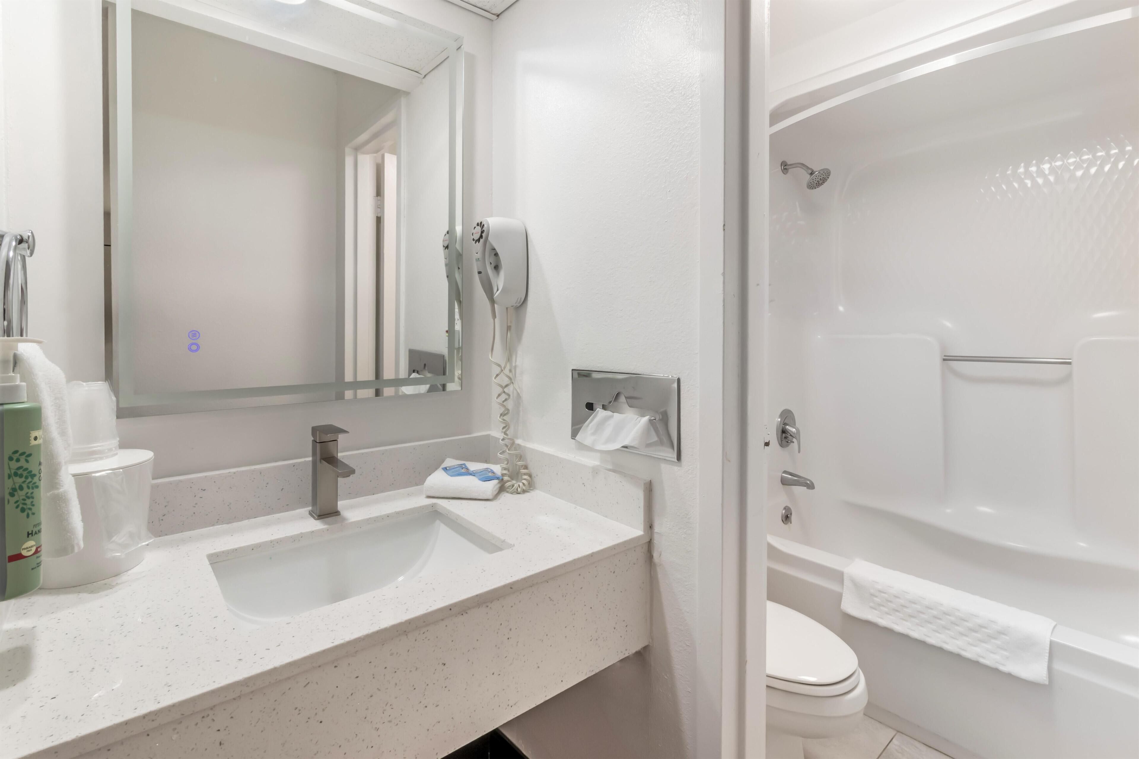A bathroom with a white sink, a mirror, a handheld showerhead, and a toilet.