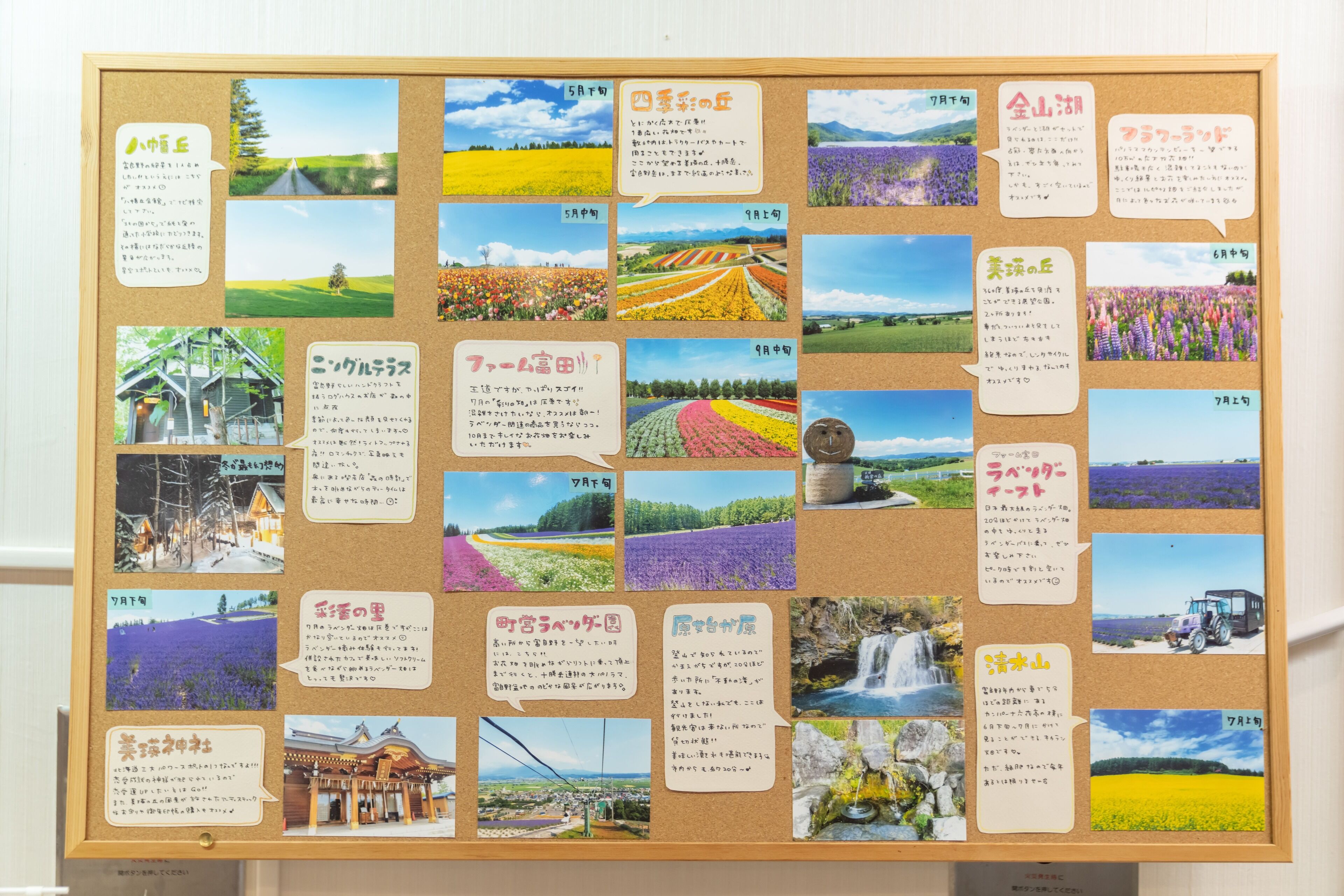 Un corcho con varias fotografías y descripciones textuales de diversos paisajes y lugares.