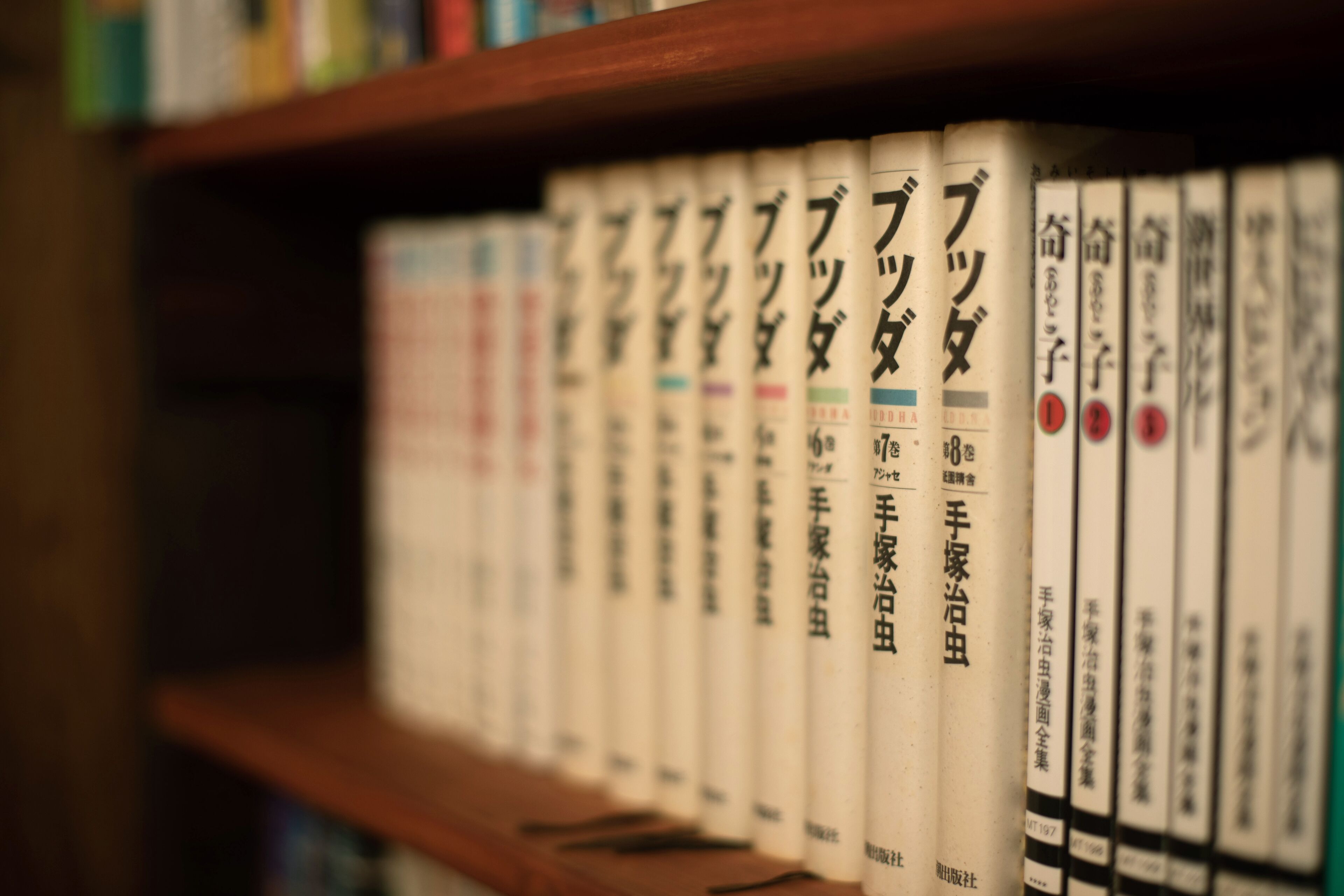 A row of books on a shelf.