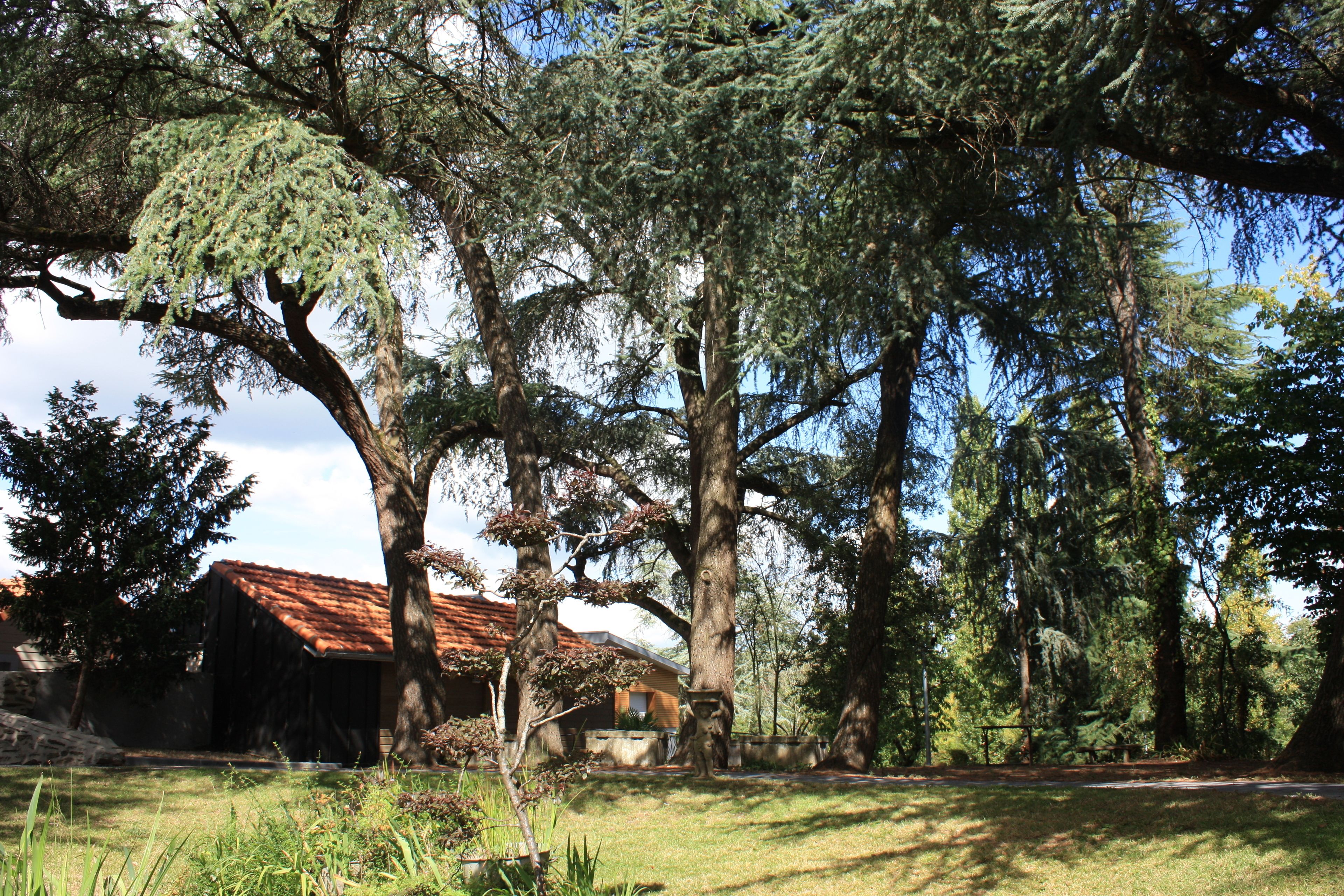 Children&#x27;s play area - outdoor