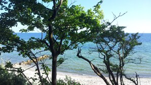 A beach with clear water and trees. - Askegaarden Apartments (Sandved)