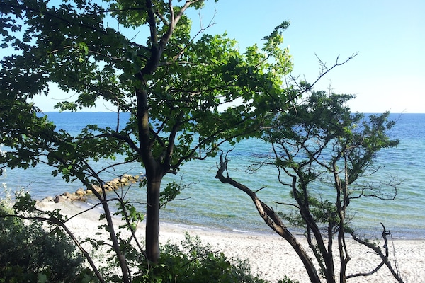 Udendørsområde