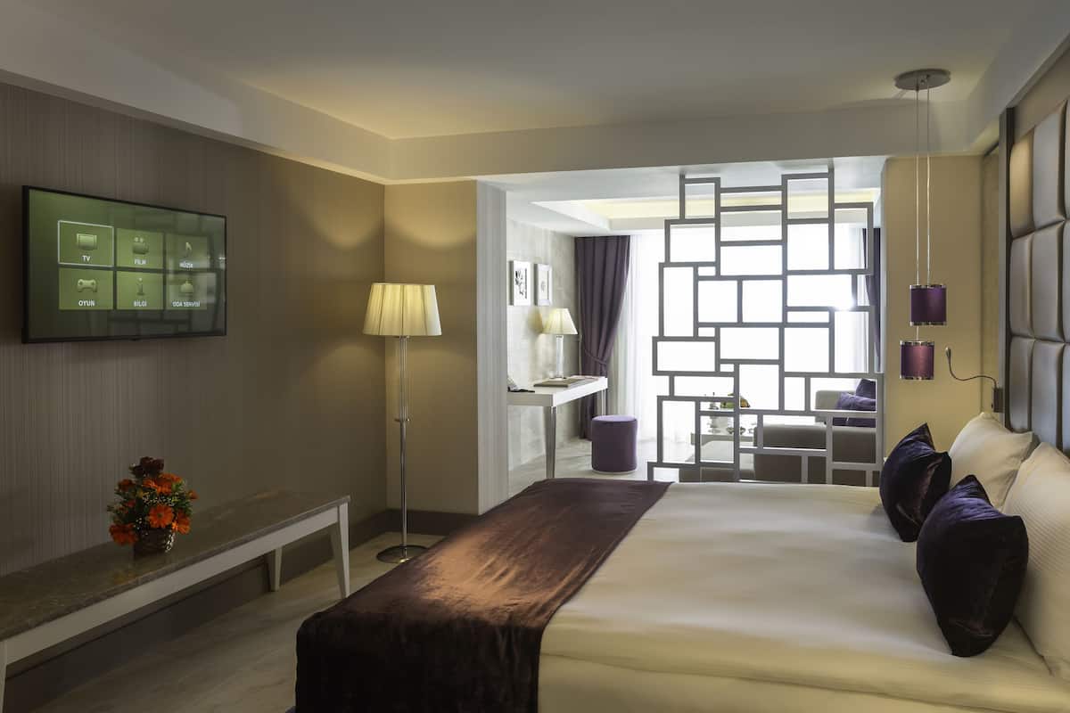 A hotel room with a large bed, a flat-screen TV mounted on the wall, a desk with a chair, and a decorative partition with natural light.
