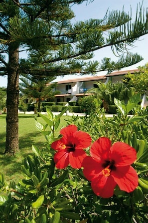 A lush garden with red flowers and a pine tree in the foreground, with a building in the background. - Hotel Residence Sciabache (Zambrone)