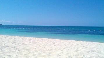Plage, planche Ă voile