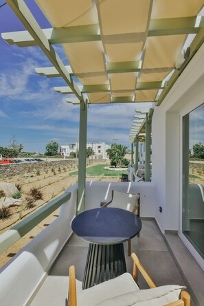 Deluxe Suite | Living area
