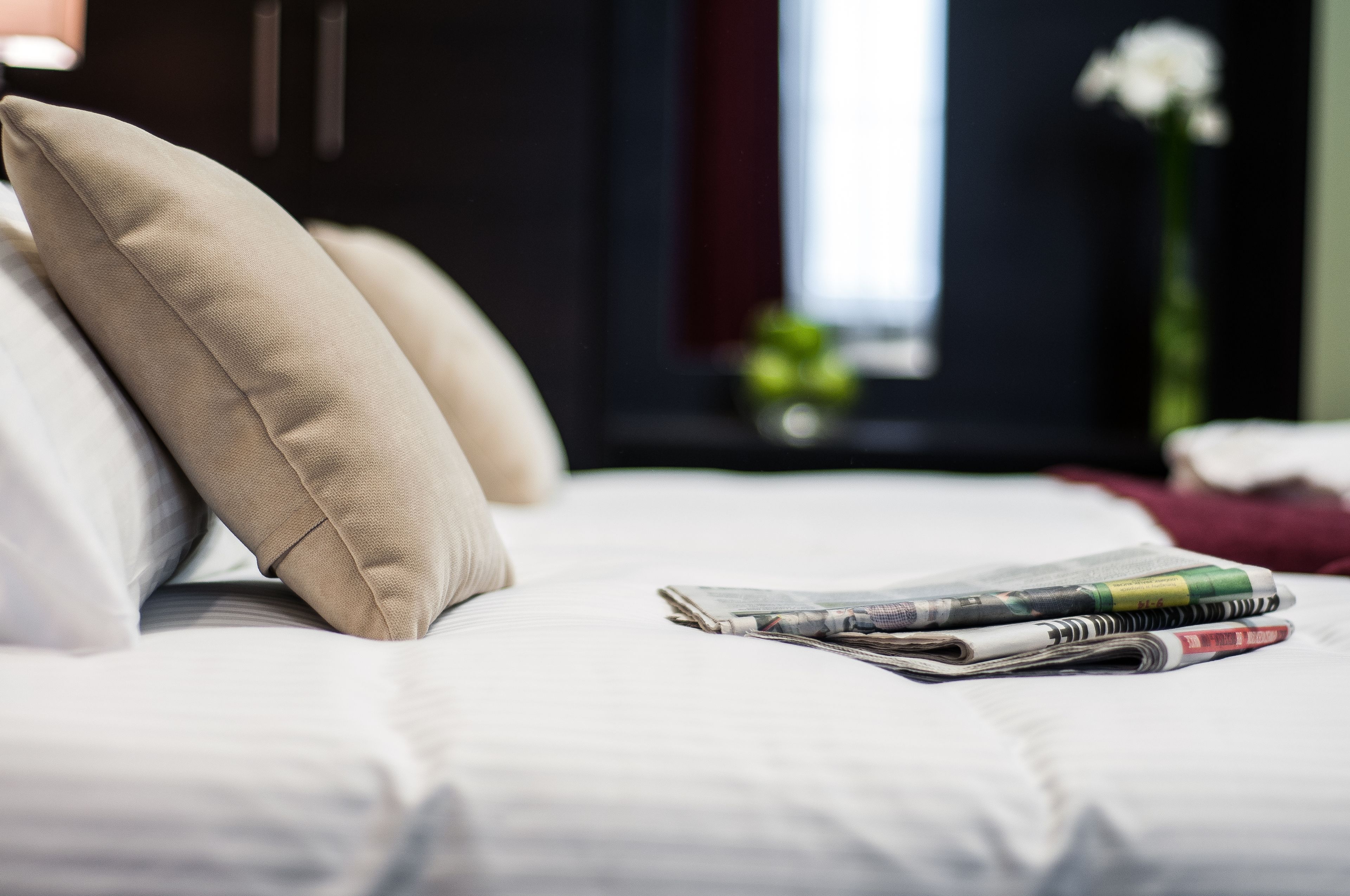 suite | living area | 32-inch lcd tv with premium tv channels, tv