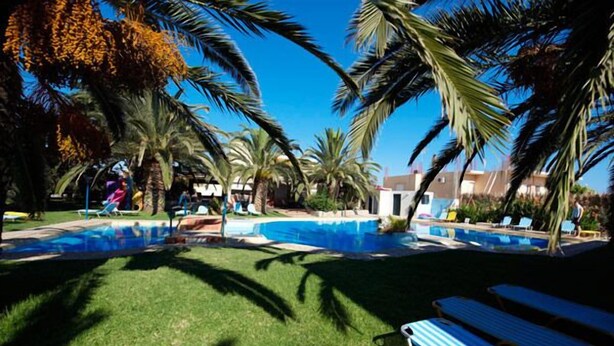 A swimming pool surrounded by palm trees and lounge chairs. - Lycasti Maisonettes (Platanias)
