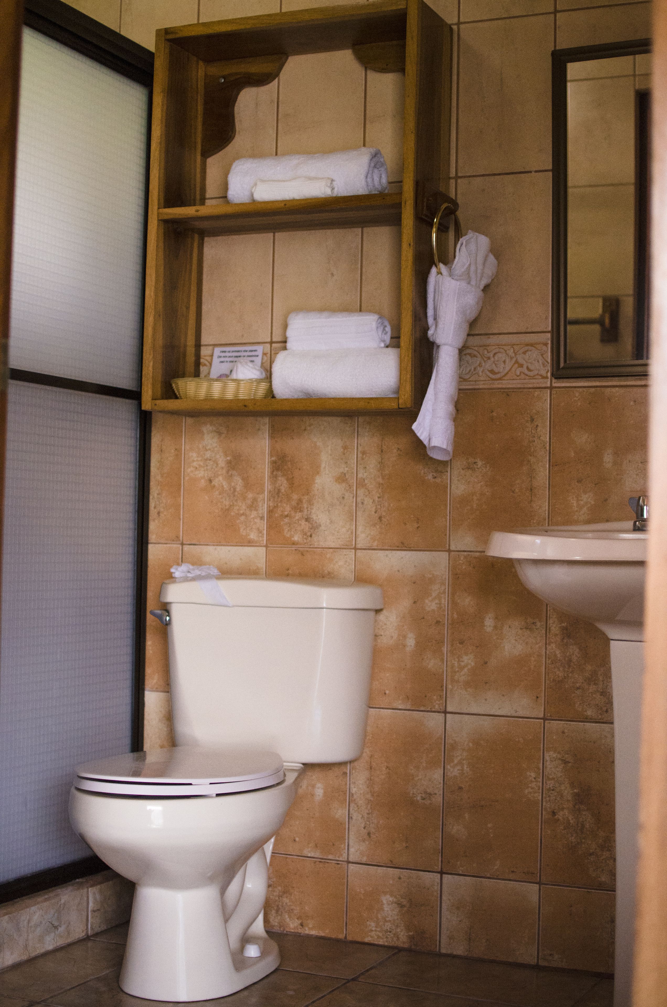 deluxe room | bathroom | combined shower/bathtub, designer toiletries, hair dryer, towels