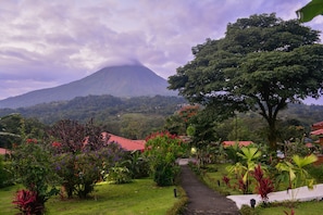 Garden - Miradas Arenal Hotel & Hotsprings (La Fortuna)