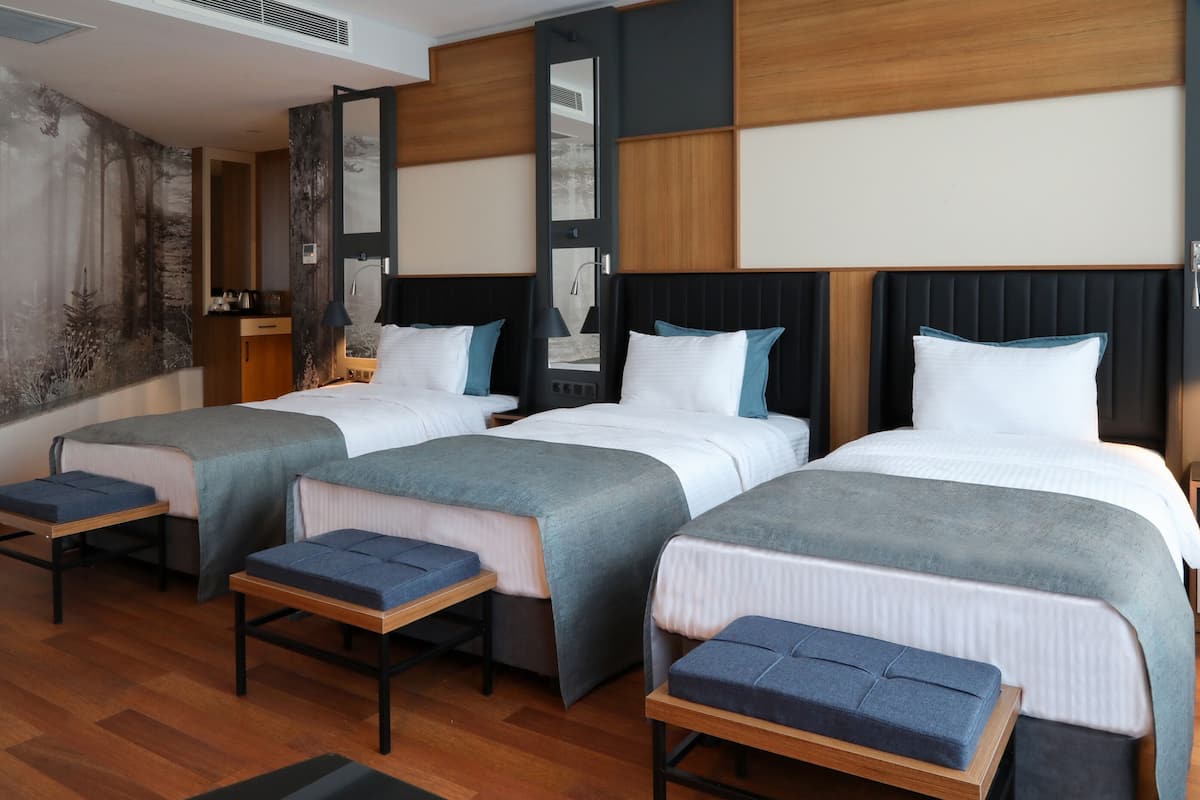 Habitación de hotel con tres camas, cada una acompañada de un banco a juego, un espejo grande y una pared decorada con un mural de temática natural.