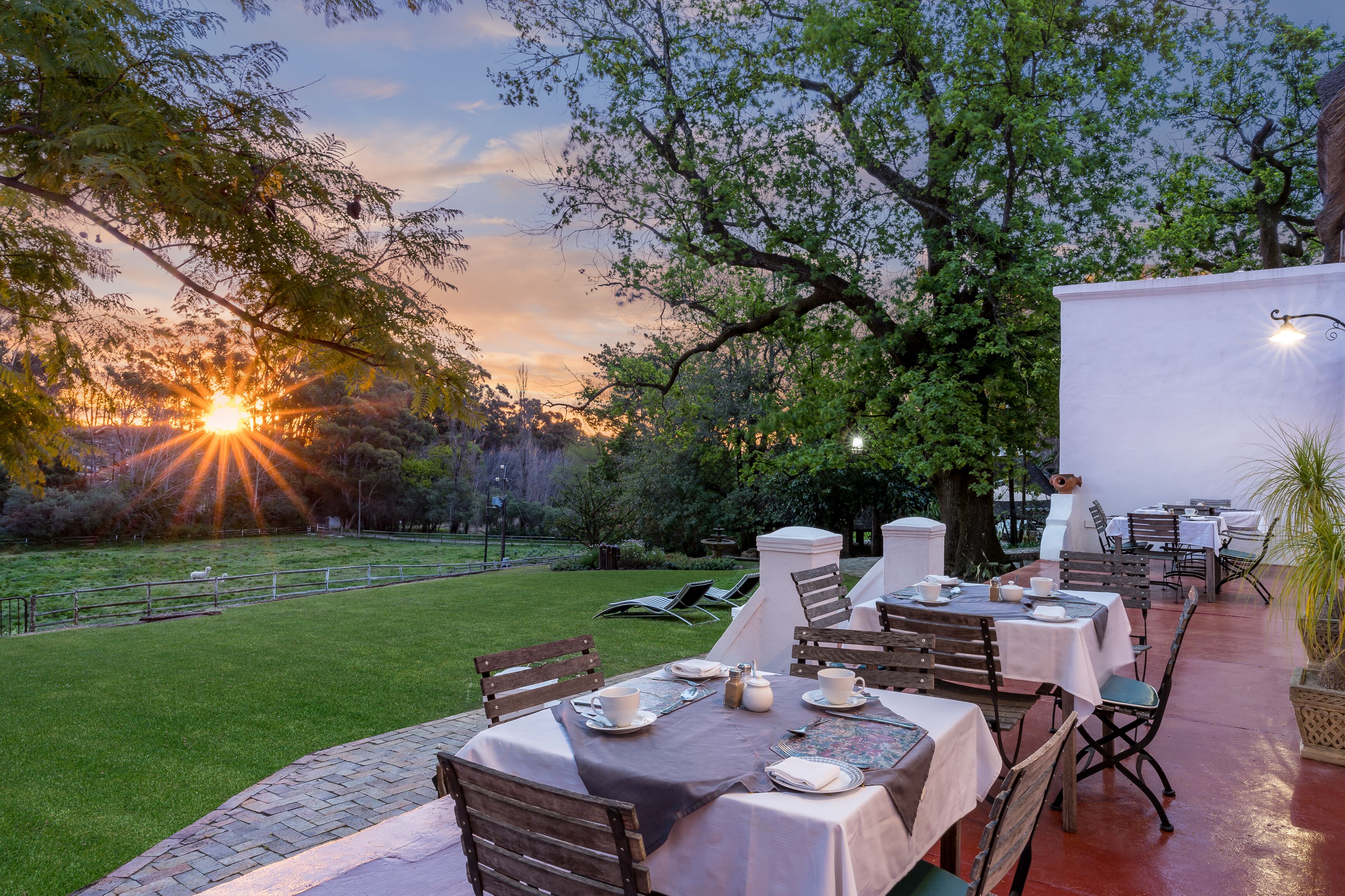 An outdoor dining area with tables set for two, surrounded by trees and a grassy lawn.