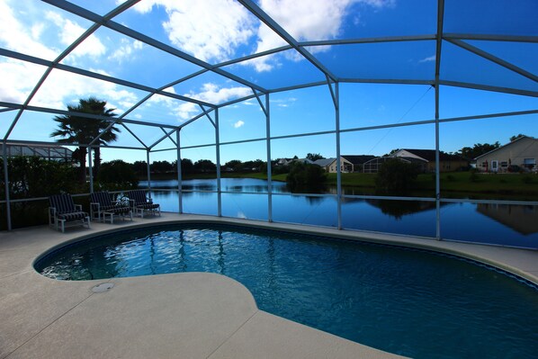 A swimming pool with a clear view of the surrounding houses and a palm tree.