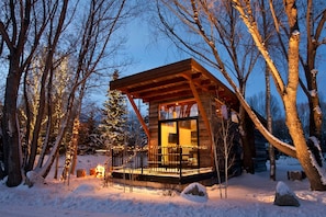 Cabin (Modern Rustic Wedge) | 1 bedroom, premium bedding, iron/ironing board, free WiFi