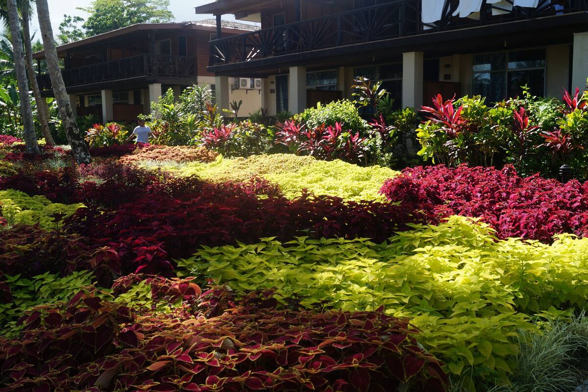 Ein Hotel mit einem üppigen Garten, der verschiedene Pflanzen zeigt, und einer dort spazierenden Person.