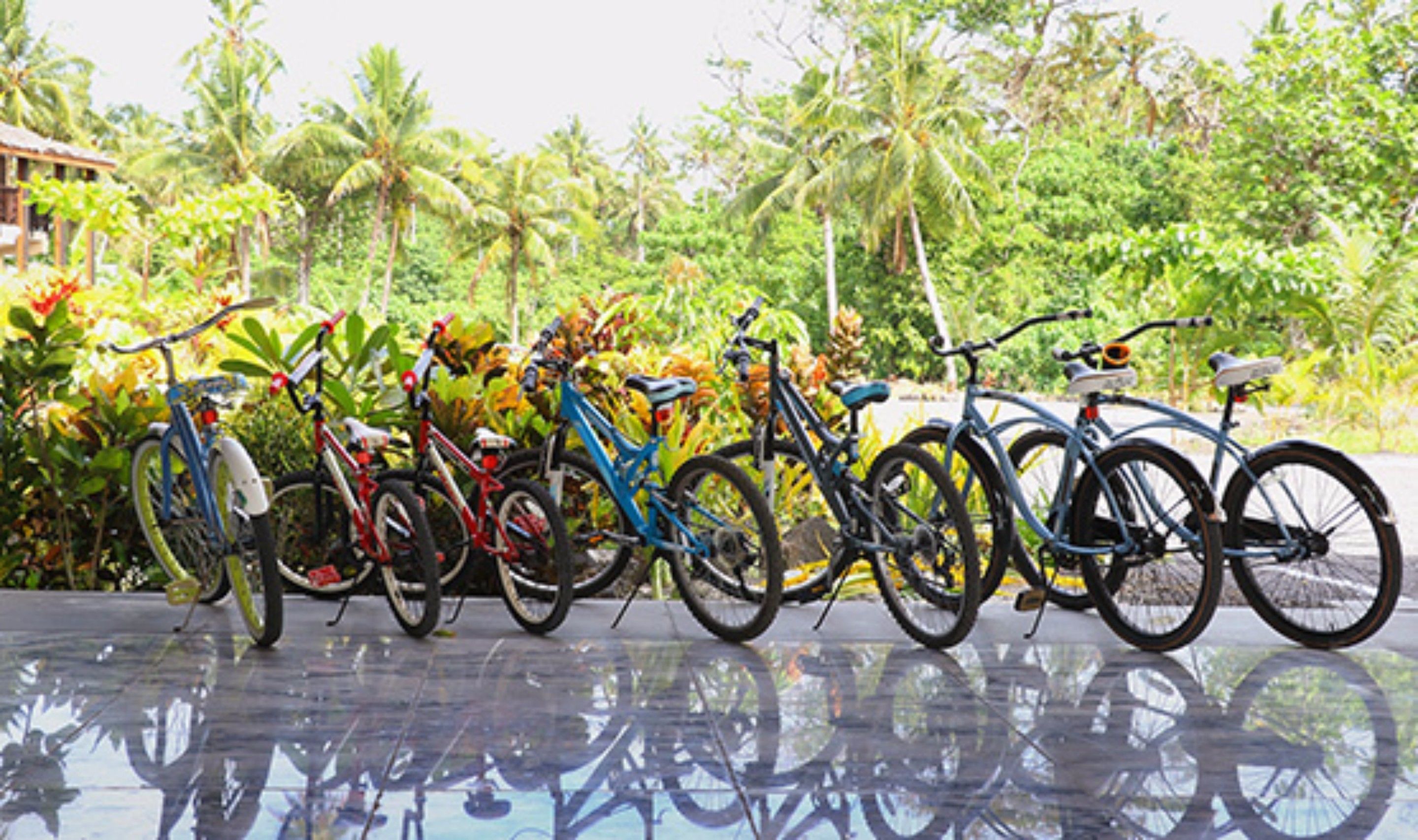 Varias bicicletas estacionadas al aire libre con un fondo tropical.