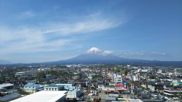 A cityscape with a prominent mountain in the background.
