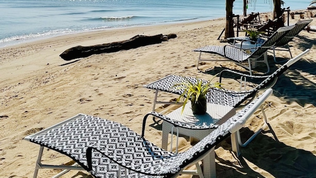 A beach with lounge chairs and a palm tree. - Sabaii Bay Resort (Ko Pha-ngan)