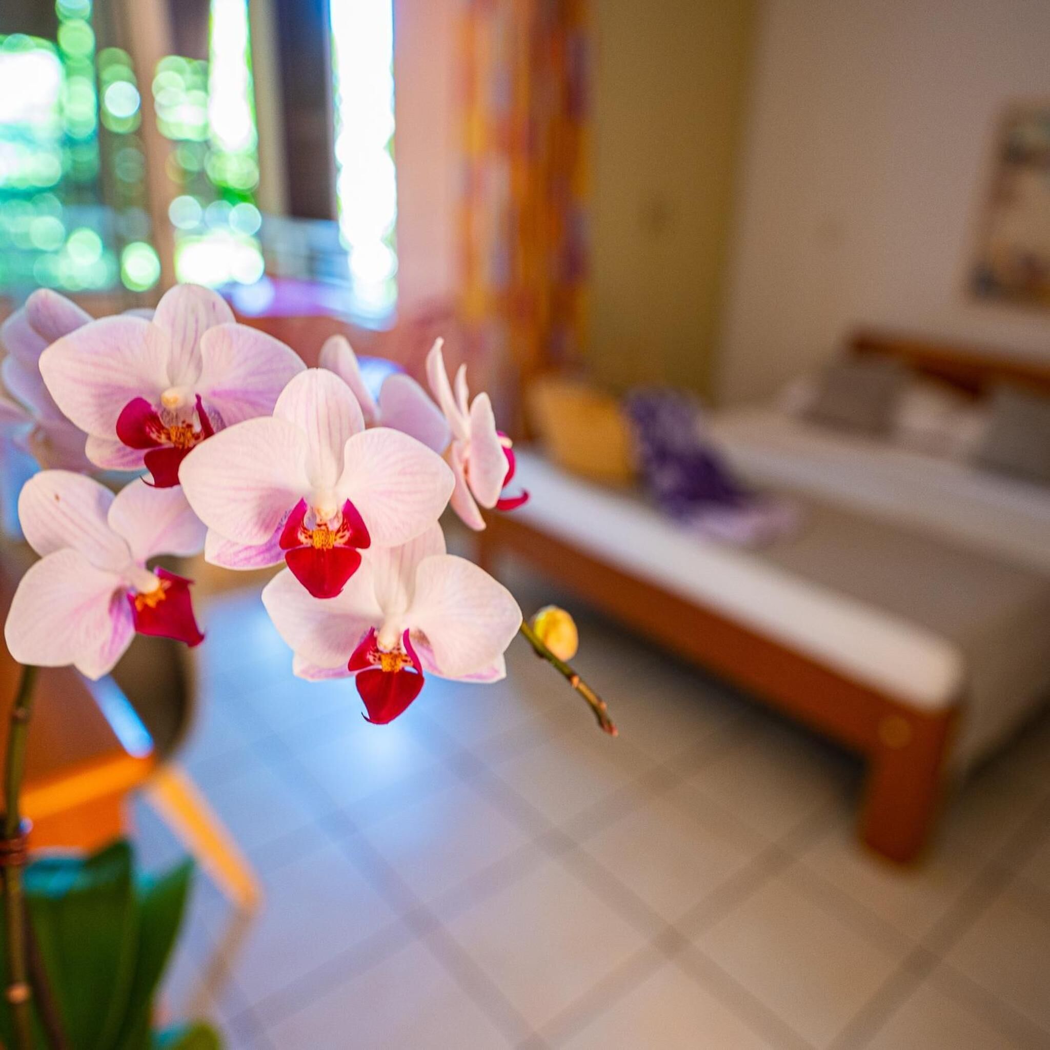 premium bedding, tempur-pedic beds, minibar, in-room safe