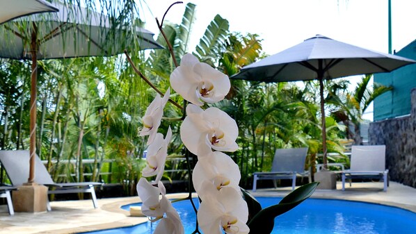 Un área de piscina con sillas de descanso y sombrillas, rodeada de plantas tropicales.