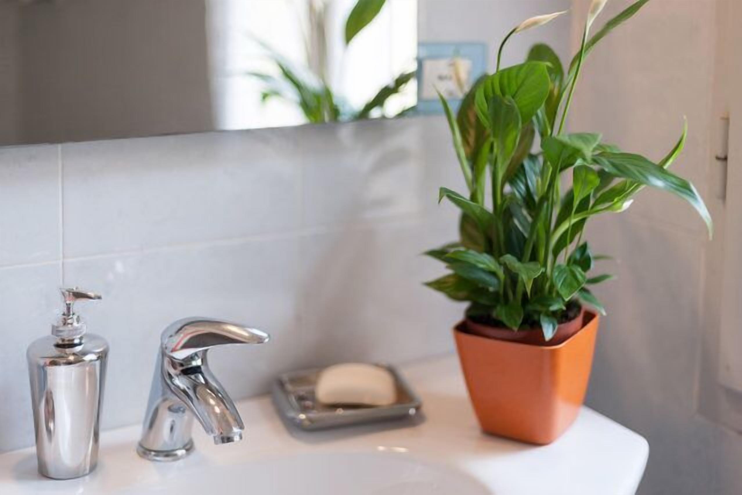 Photo - Soggiorno Venere